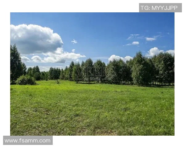 绿色森林与牛津联的激战谁能在赛场上笑到最后